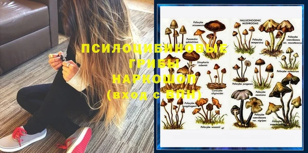 молекула духа Богородск