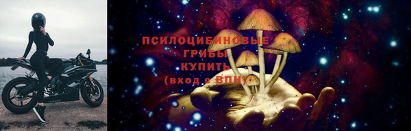 MDMA Premium VHQ Богородицк