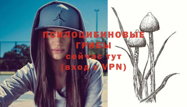 молекула духа Богородск