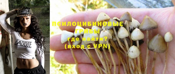 MDMA Premium VHQ Богородицк