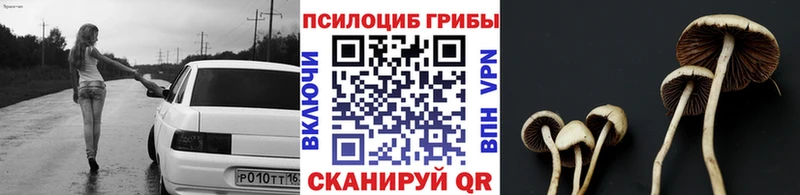 Купить  Торопец  Псилоцибиновые грибы мухоморы 